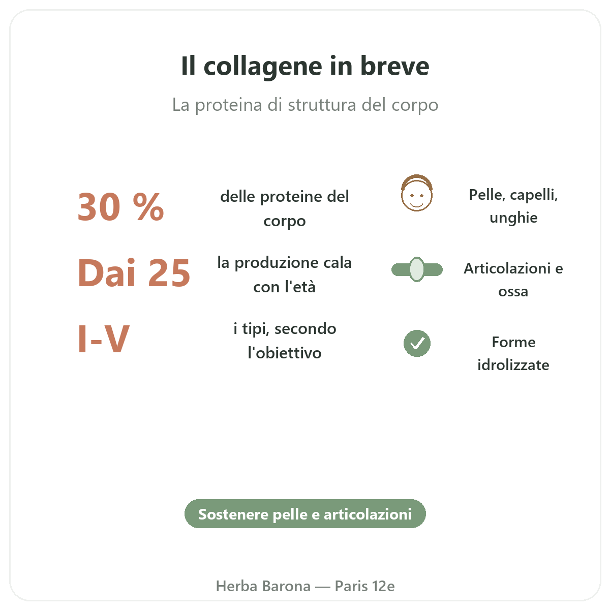 Collagene Parigi in breve - dati chiave da Herba Barona Paris 12e