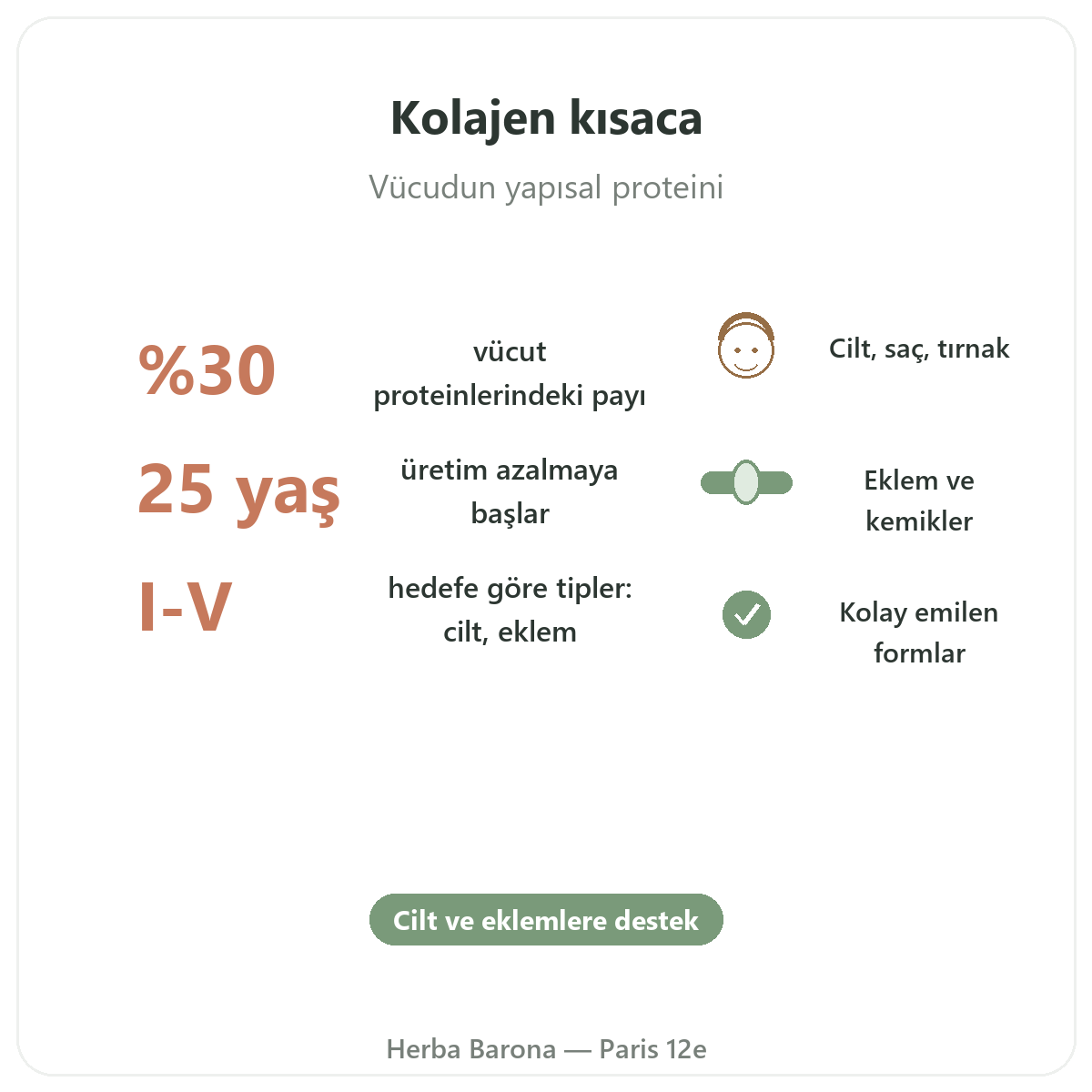 Kolajen Paris kısaca - Herba Barona Paris 12. bölgede önemli rakamlar