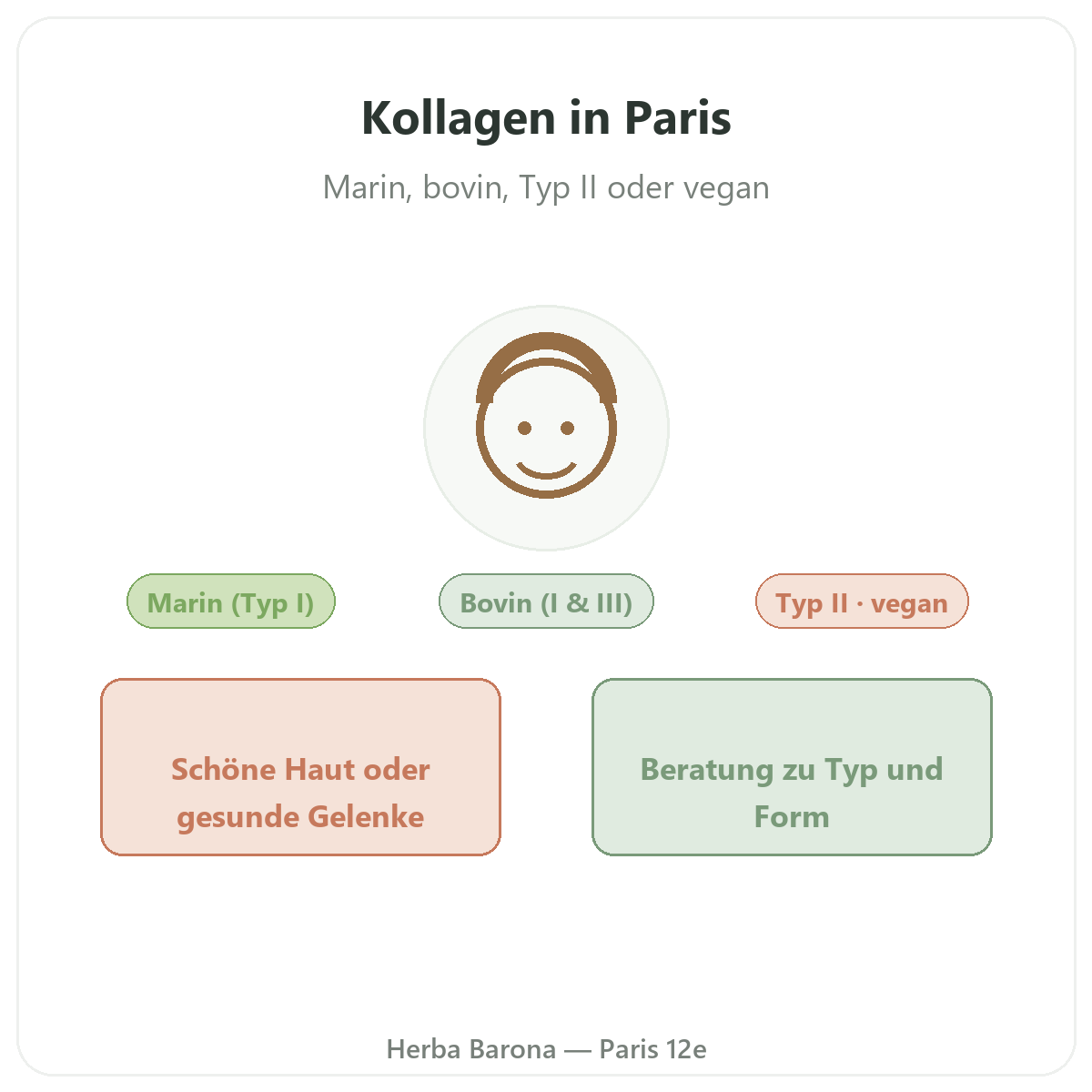 Kollagen in Paris - Markenvorstellung bei Herba Barona Paris 12e