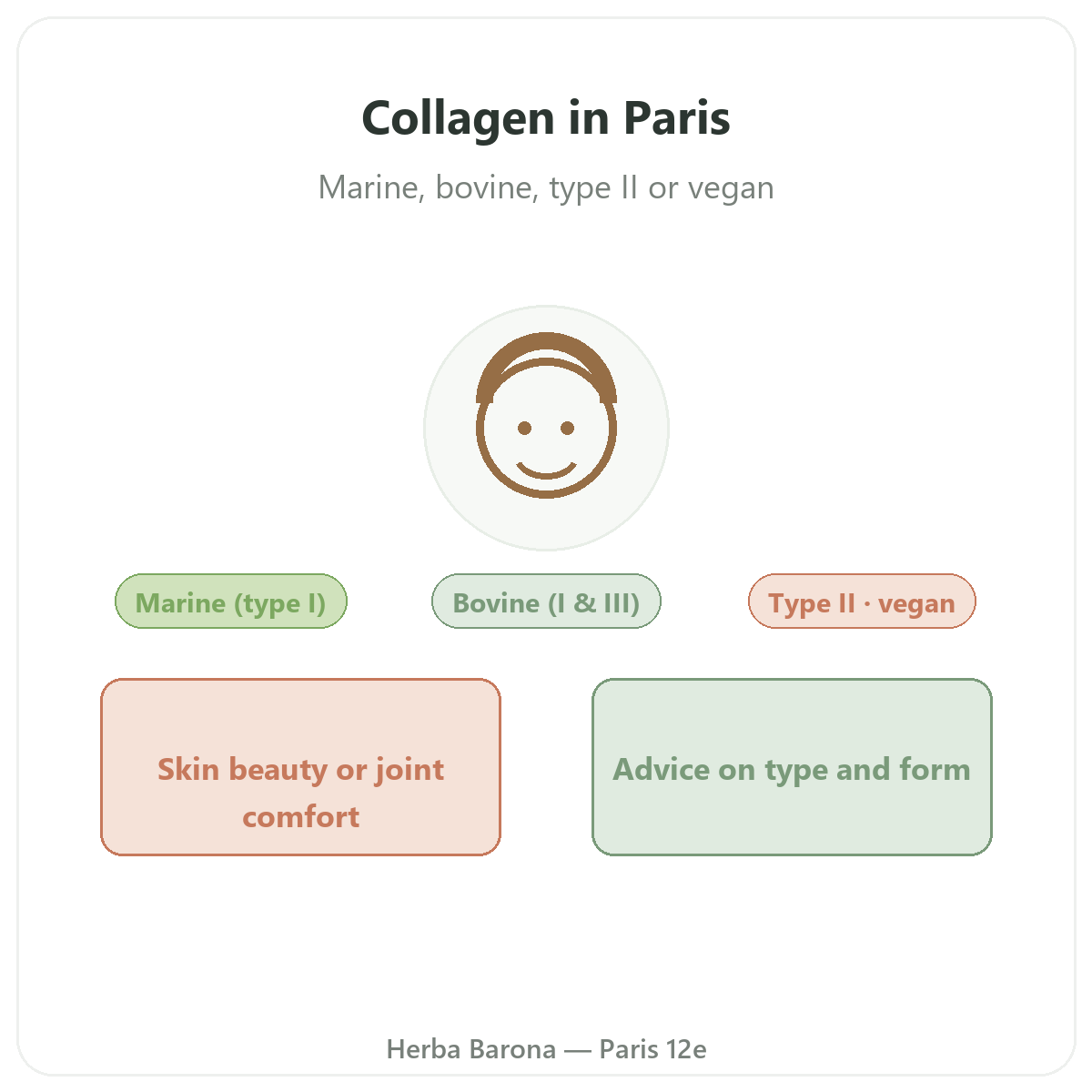 Collagen in Paris - brand overview at Herba Barona Paris 12th