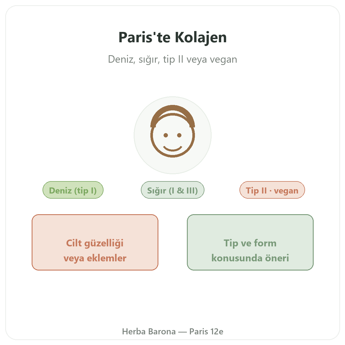 Kolajen Paris - Herba Barona Paris 12. bölge marka tanıtımı