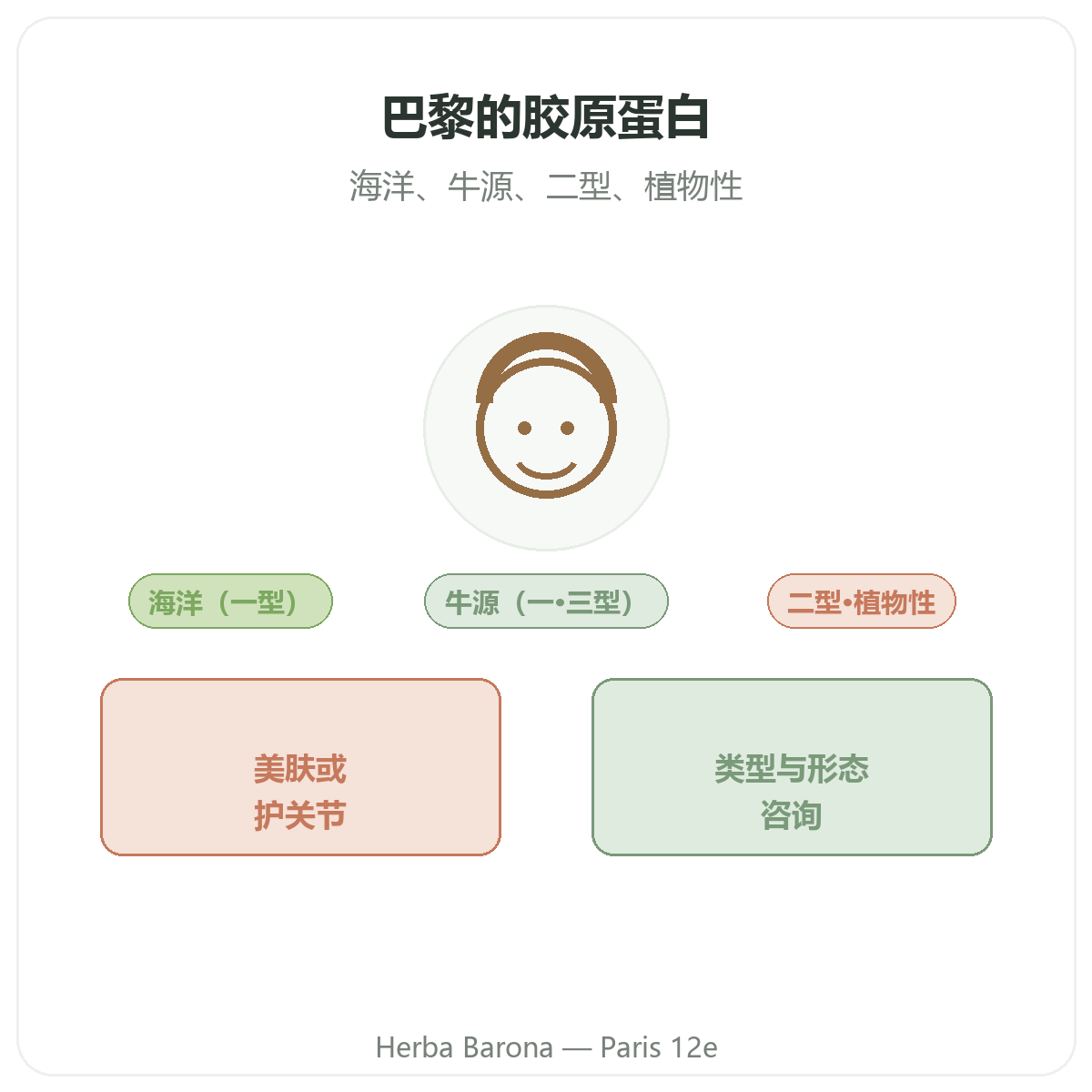 胶原蛋白 巴黎 - Herba Barona巴黎12区品牌介绍