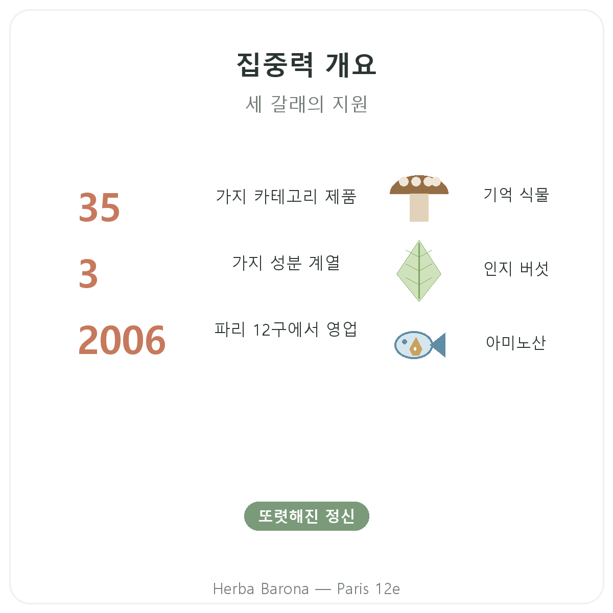 파리 집중력과 포커스 건강기능식품 요약 - 핵심 수치 - Herba Barona 파리 12구
