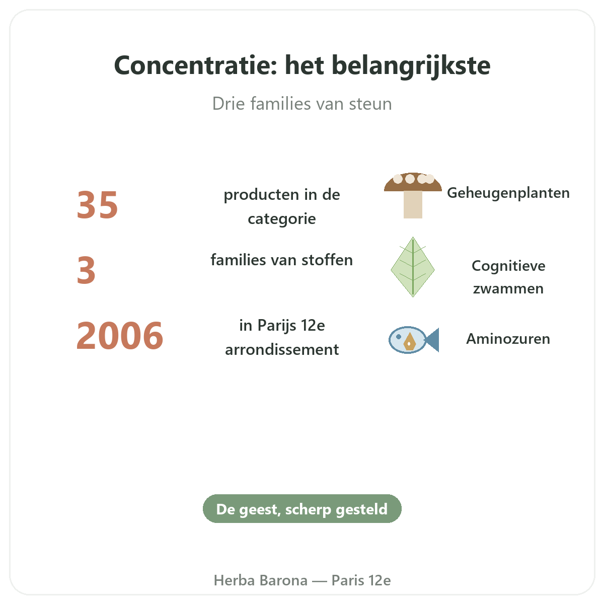 Complements concentration et focus en bref - chiffres cles chez Herba Barona Paris 12e