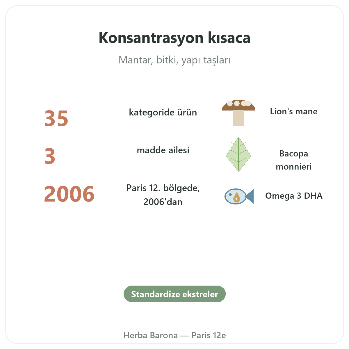 Konsantrasyon ve odaklanma takviyeleri özet - Herba Barona Paris 12. bölgede önemli rakamlar