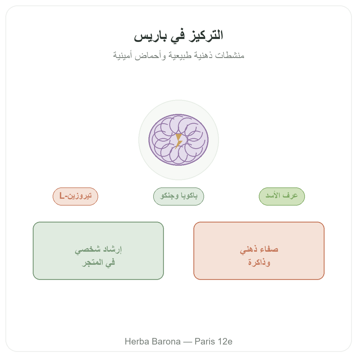 Complements concentration et focus a Paris - chez Herba Barona Paris 12e