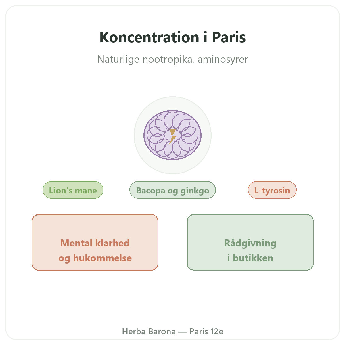 Kosttilskud til koncentration og fokus i Paris - hos Herba Barona Paris 12