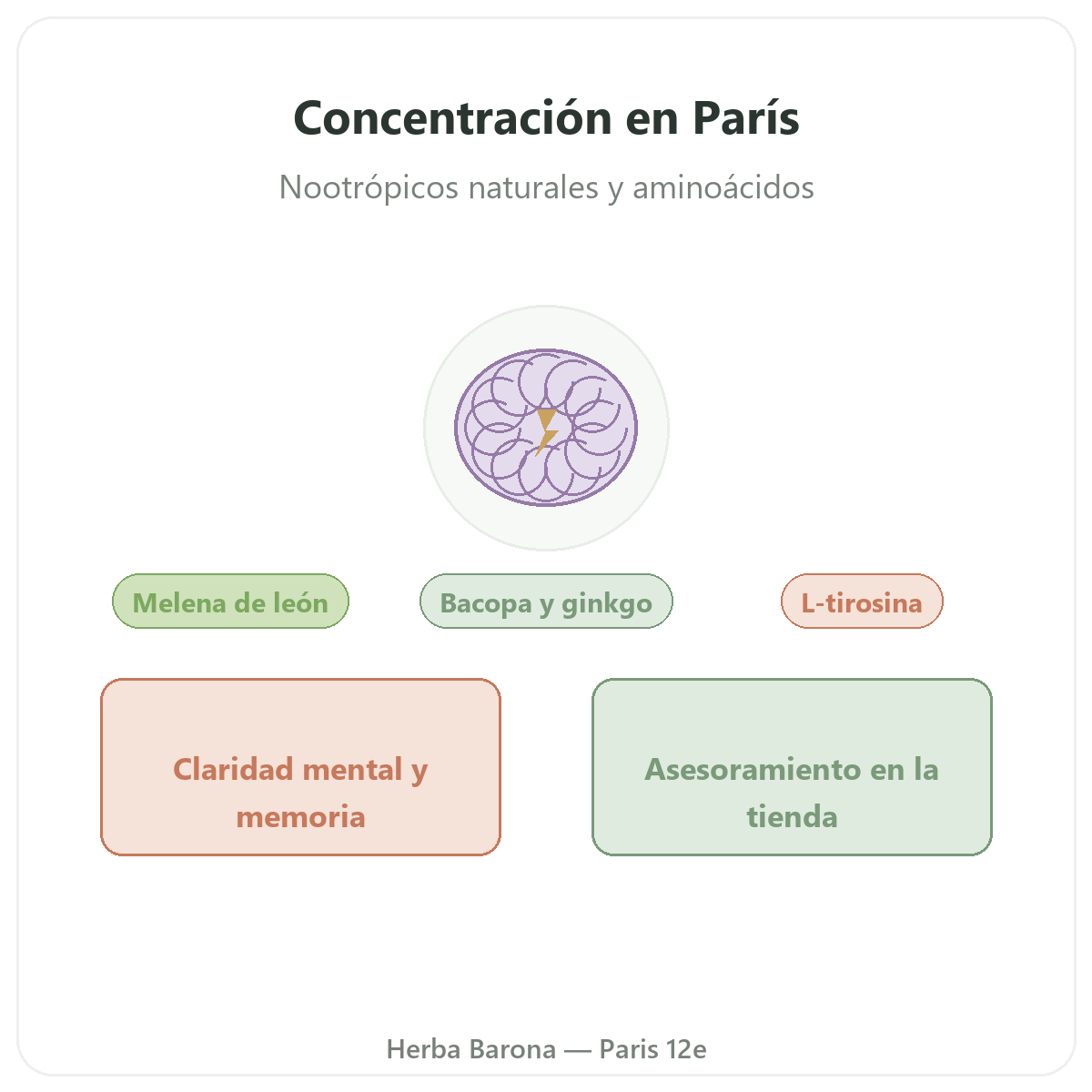 Complementos para la concentración y el enfoque en París - en Herba Barona París 12e