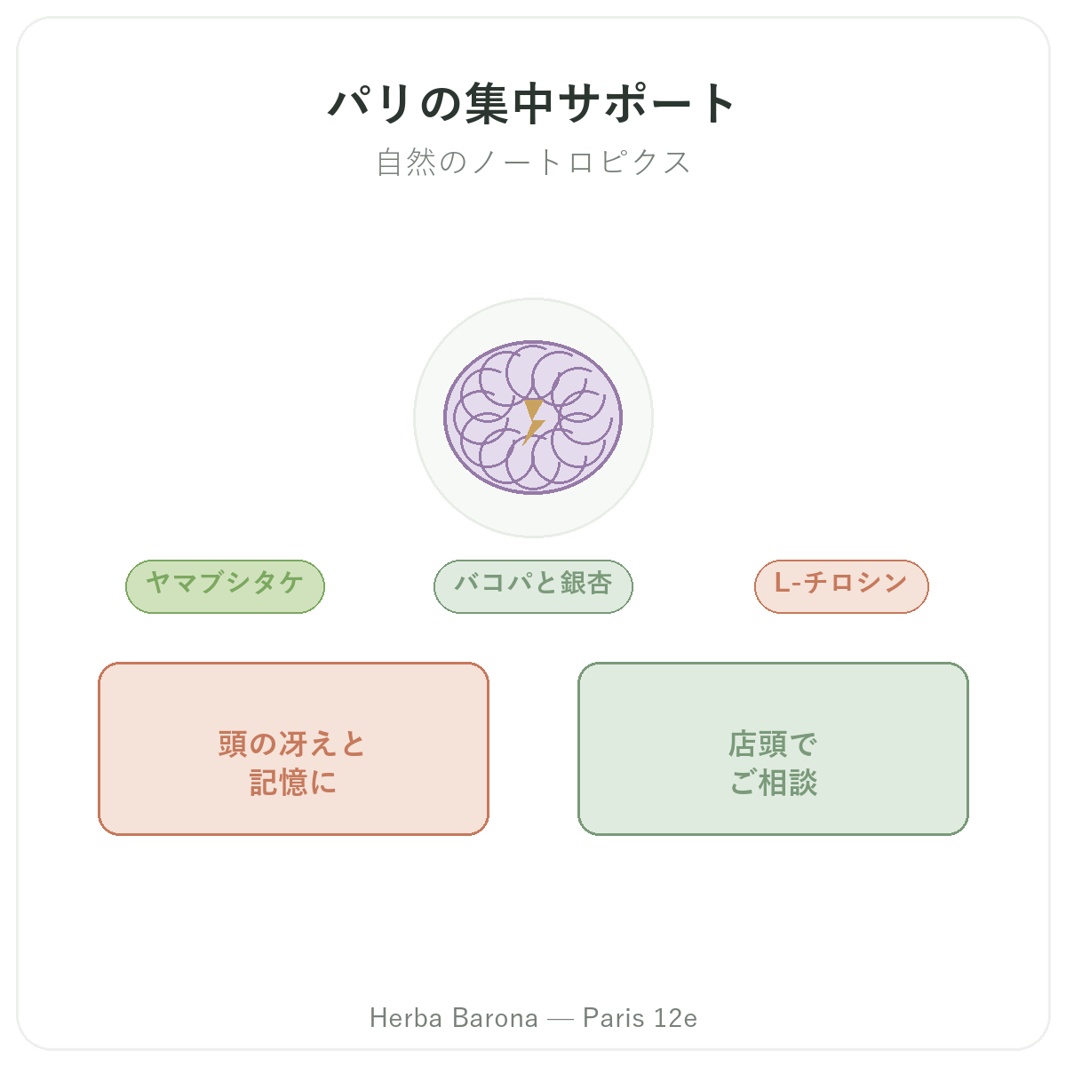集中力・フォーカスサポート製品 パリ - Herba Barona パリ12区