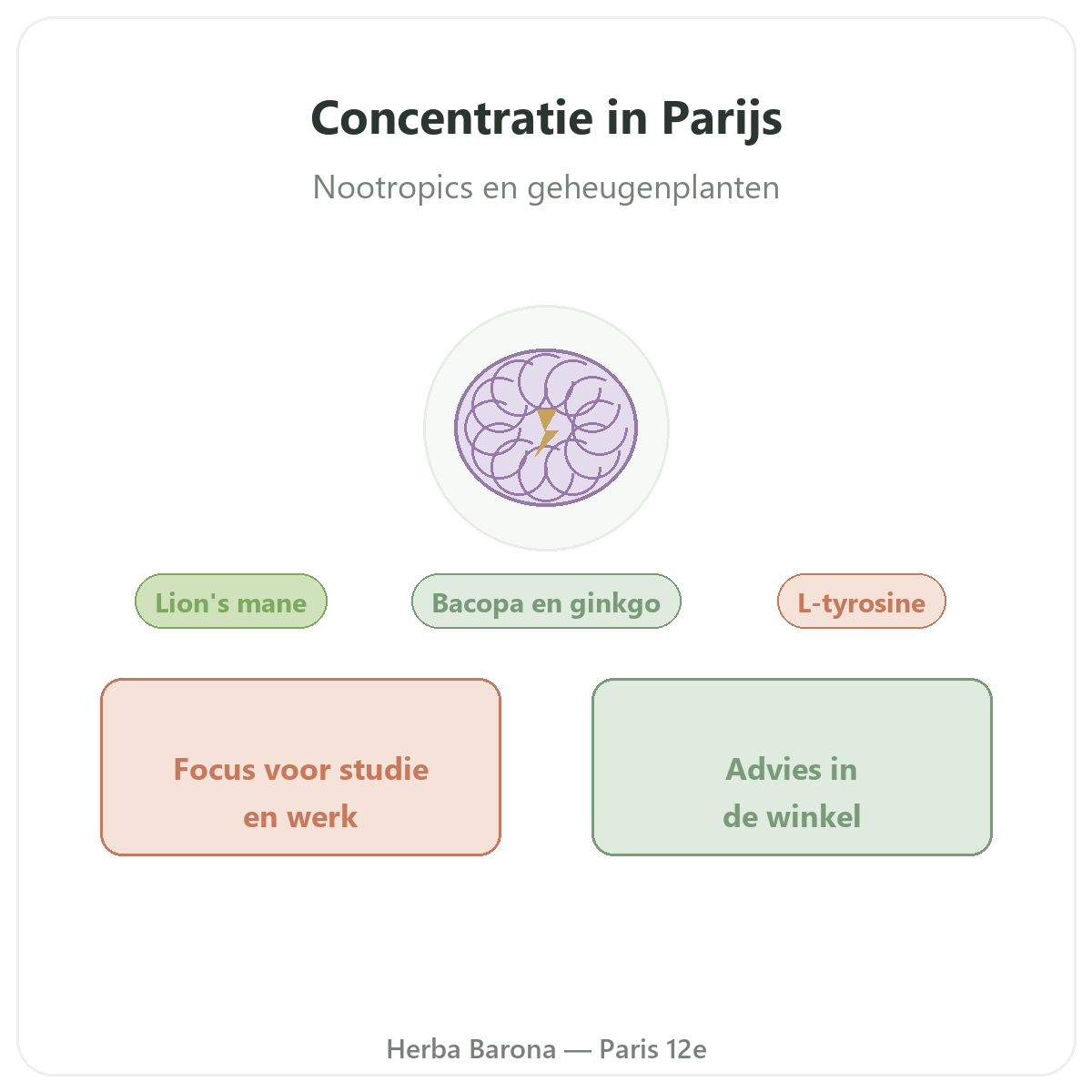 Complements concentration et focus a Paris - chez Herba Barona Paris 12e