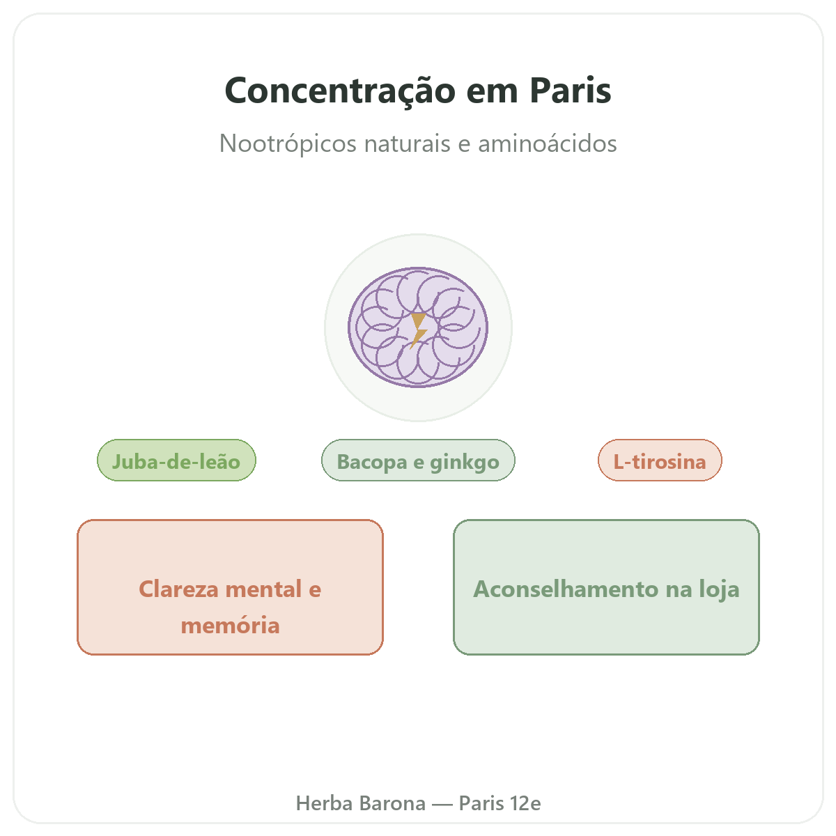Suplementos concentração e foco em Paris - na Herba Barona Paris 12e
