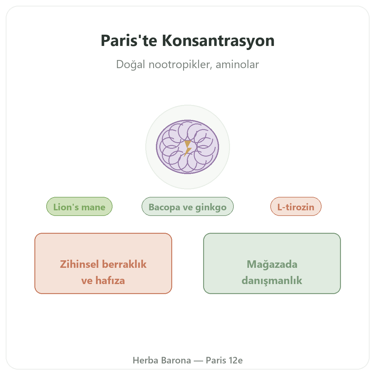 Paris’te konsantrasyon ve odaklanma takviyeleri - Herba Barona Paris 12. bölgede