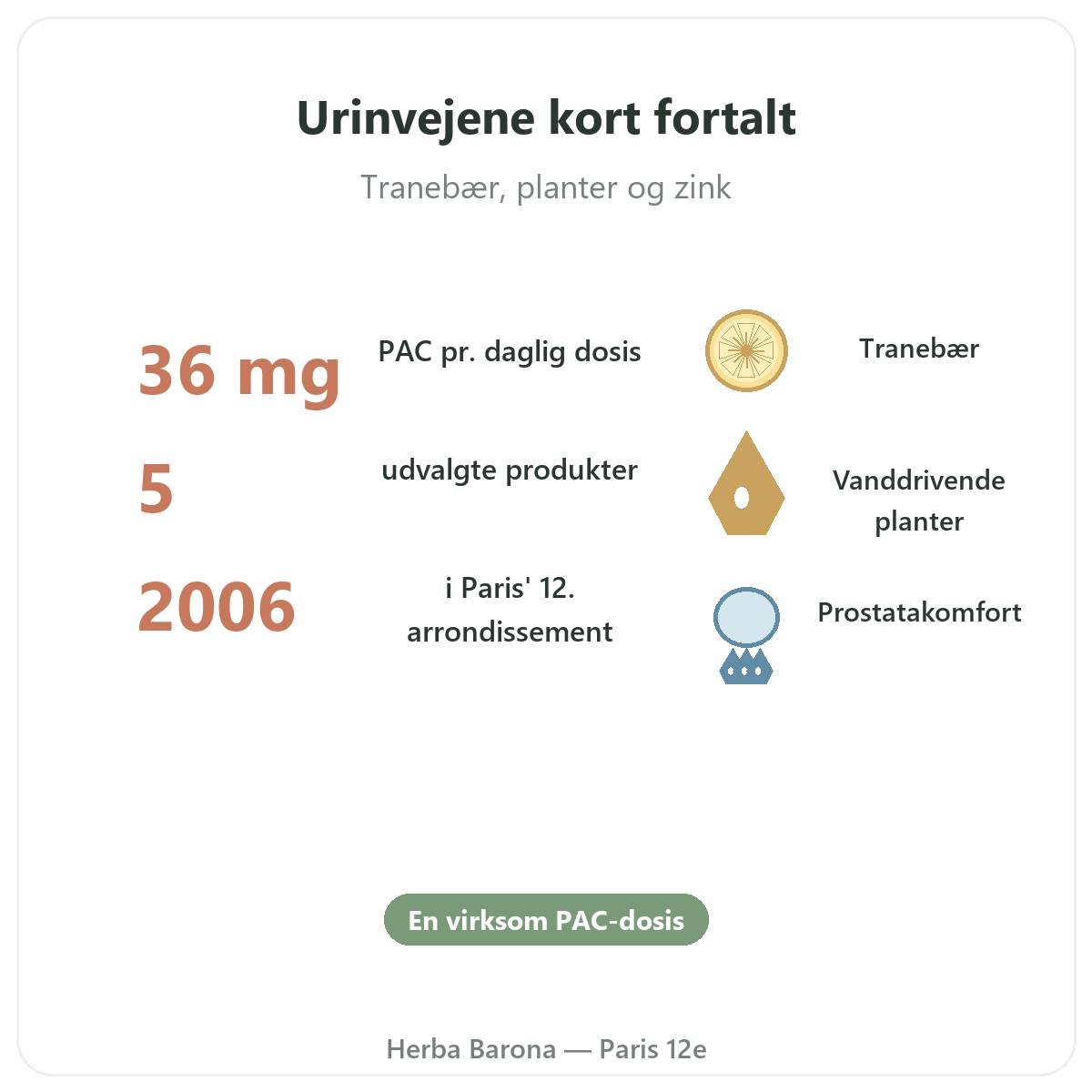 Kosttilskud til urinvejskomfort i korte træk - nøgletal hos Herba Barona Paris 12