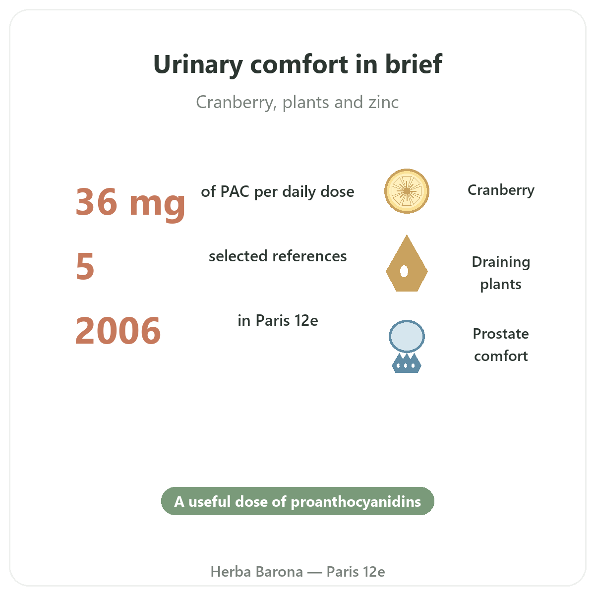 Urinary comfort supplements at a glance - key facts at Herba Barona Paris 12th