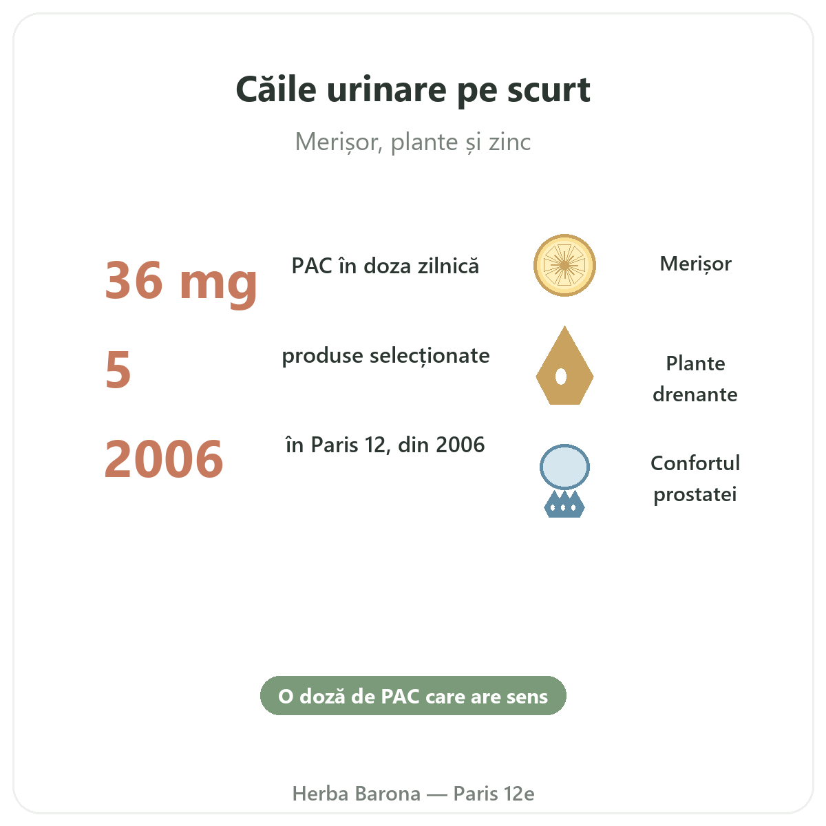 Suplimente confort urinar pe scurt - cifre cheie la Herba Barona Paris, arondismentul 12