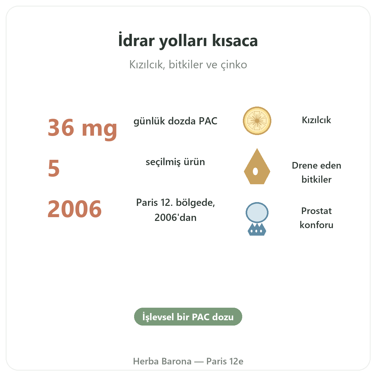 İdrar yolu konforu takviyeleri özet - Herba Barona Paris 12. bölgede önemli rakamlar