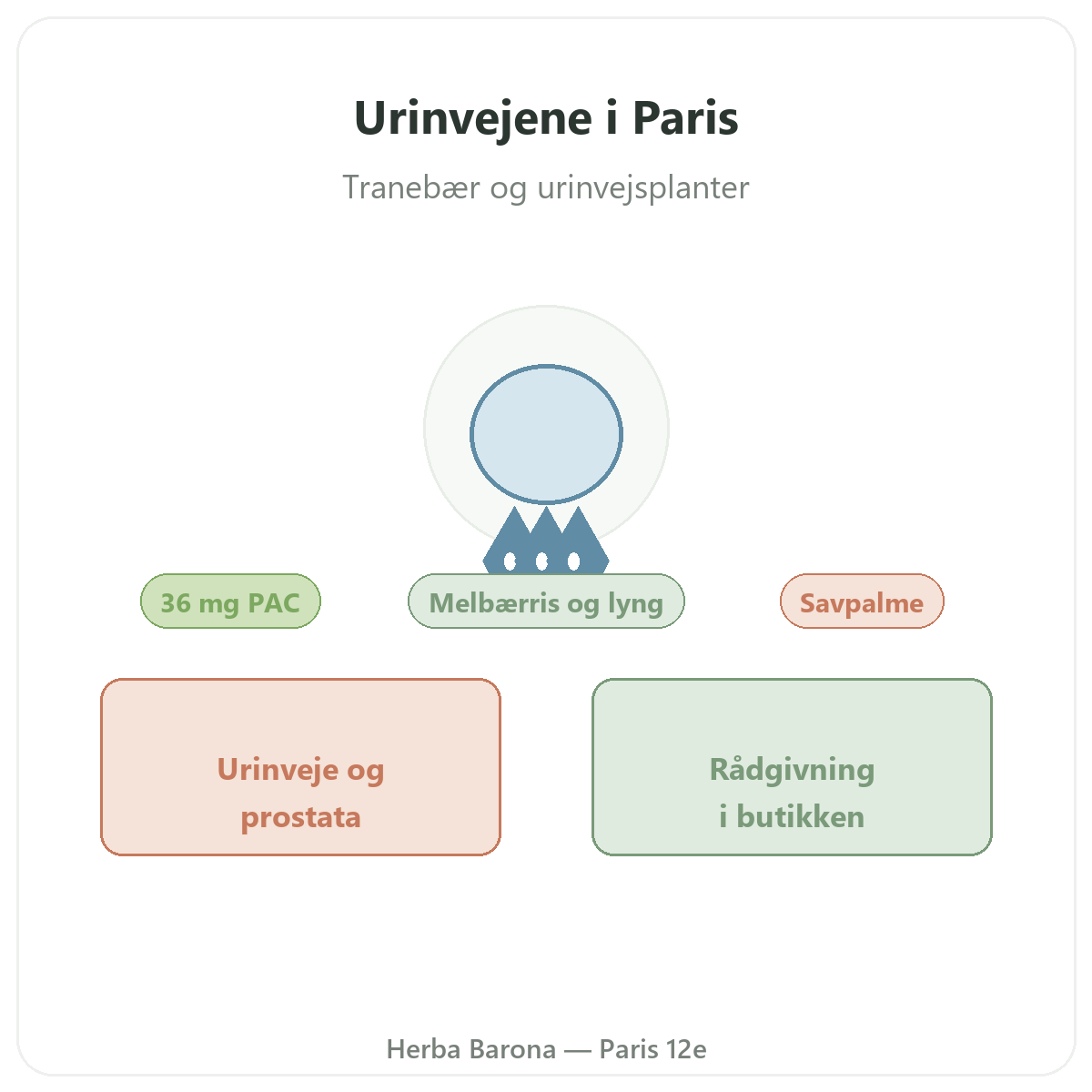 Kosttilskud til urinvejskomfort i Paris - hos Herba Barona Paris 12