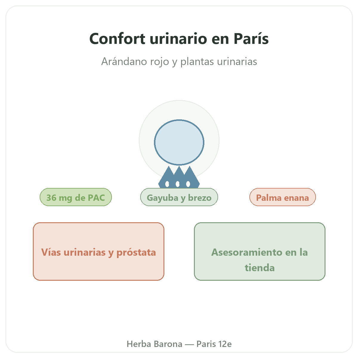 Complementos confort urinario en Paris - en Herba Barona Paris 12e