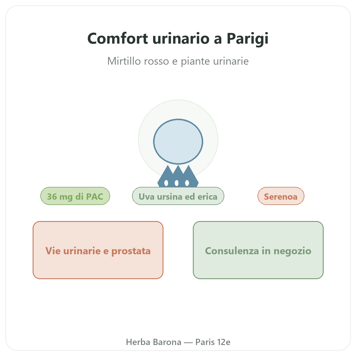 Integratori comfort urinario a Parigi - da Herba Barona Parigi 12e