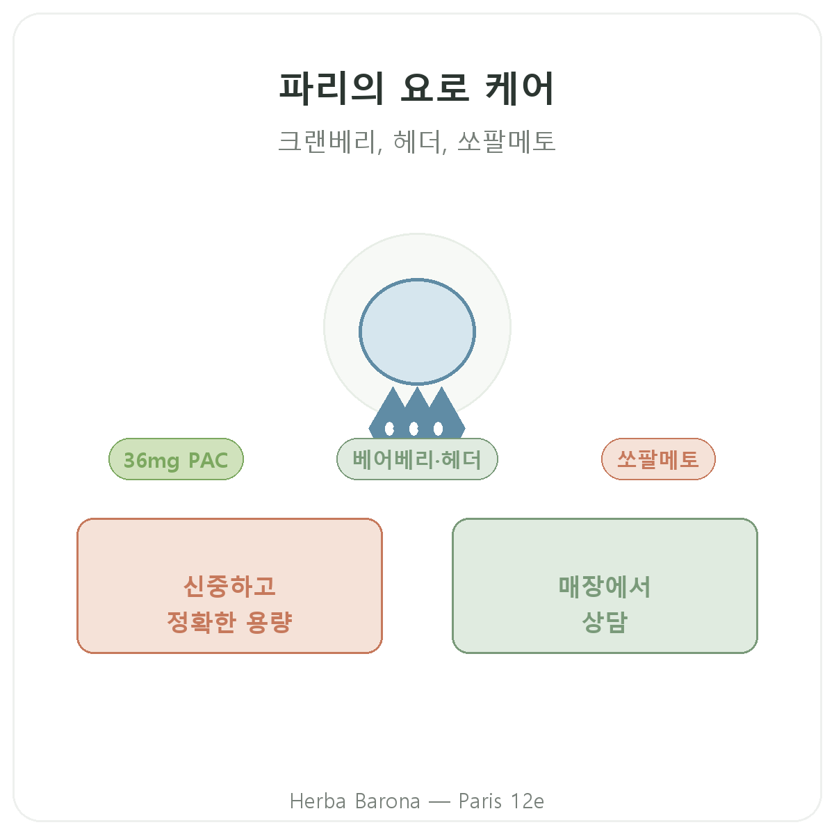 파리의 비뇨기 편안함 영양제 - Herba Barona 파리 12구