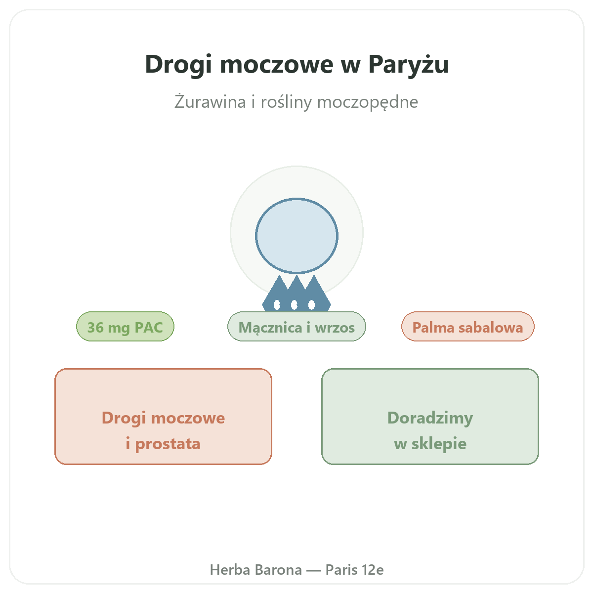Suplementy na komfort układu moczowego w Herba Barona - wysyłka do Polski