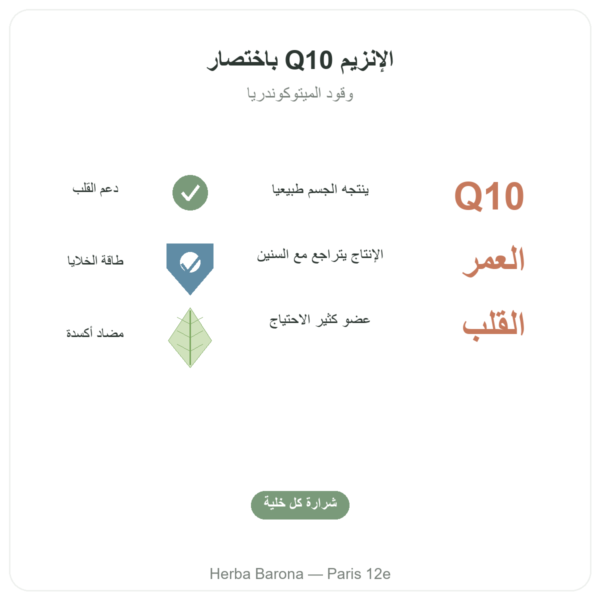 الإنزيم المساعد Q10 في باريس بإيجاز - أرقام أساسية لدى Herba Barona باريس الدائرة 12