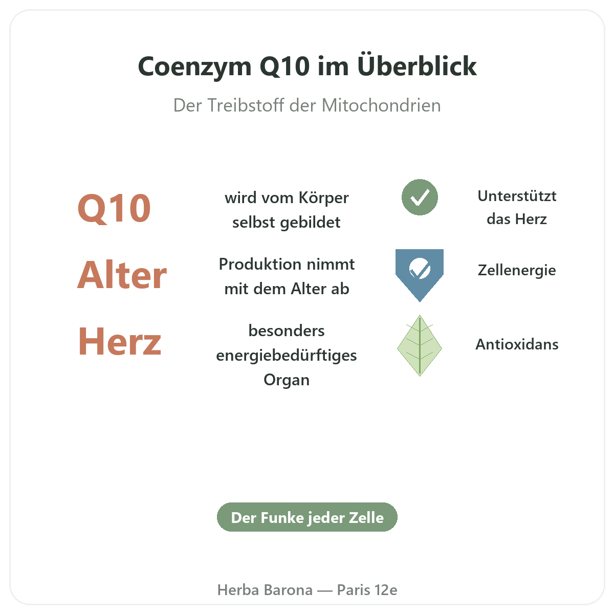 Coenzym Q10 Paris kurz erklärt - wichtige Fakten bei Herba Barona Paris 12e