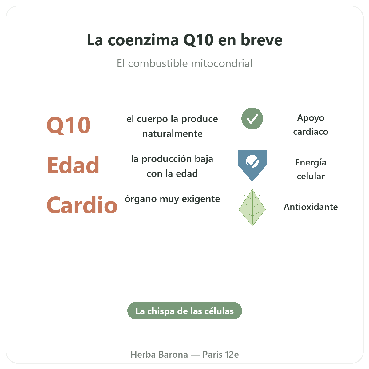 Coenzima Q10 París en cifras - datos clave en Herba Barona París 12e