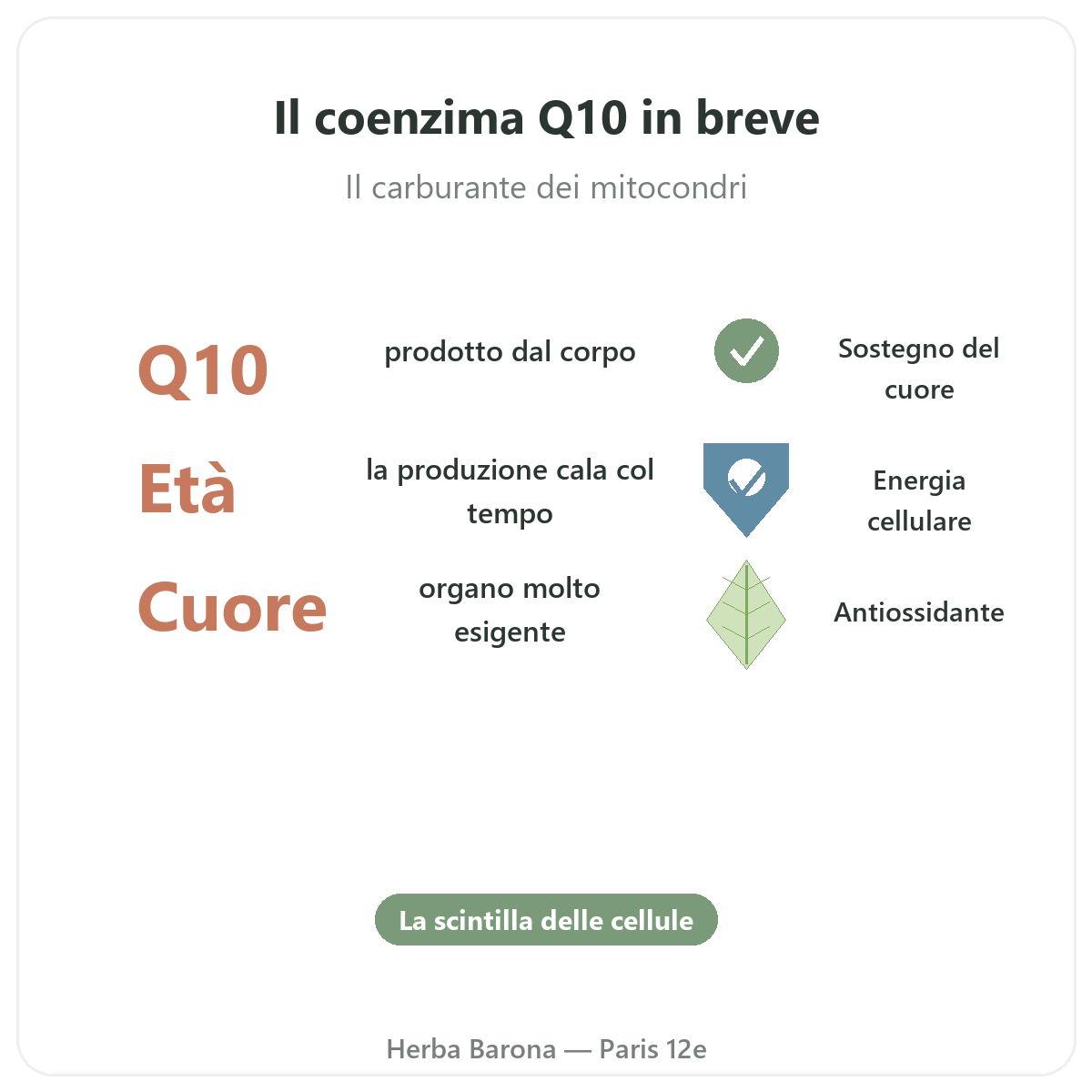 Coenzima Q10 Parigi in breve - dati chiave da Herba Barona Parigi 12e