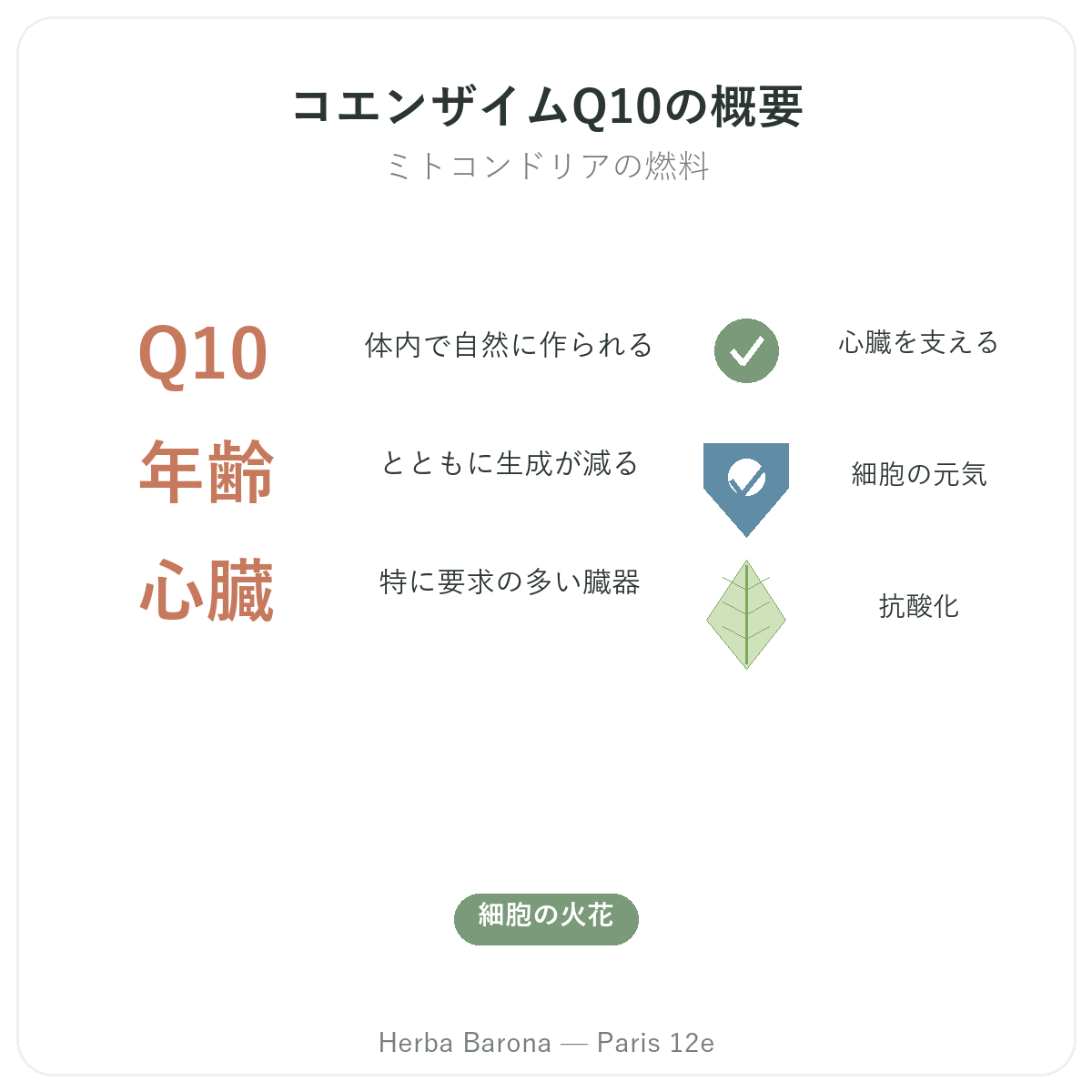コエンザイムQ10 パリ 早わかり - Herba Barona パリ12区 主要データ