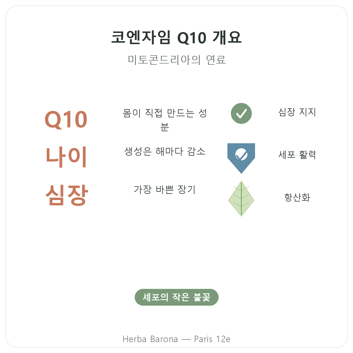 코엔자임 Q10 파리 요약 - Herba Barona 파리 12구 주요 수치