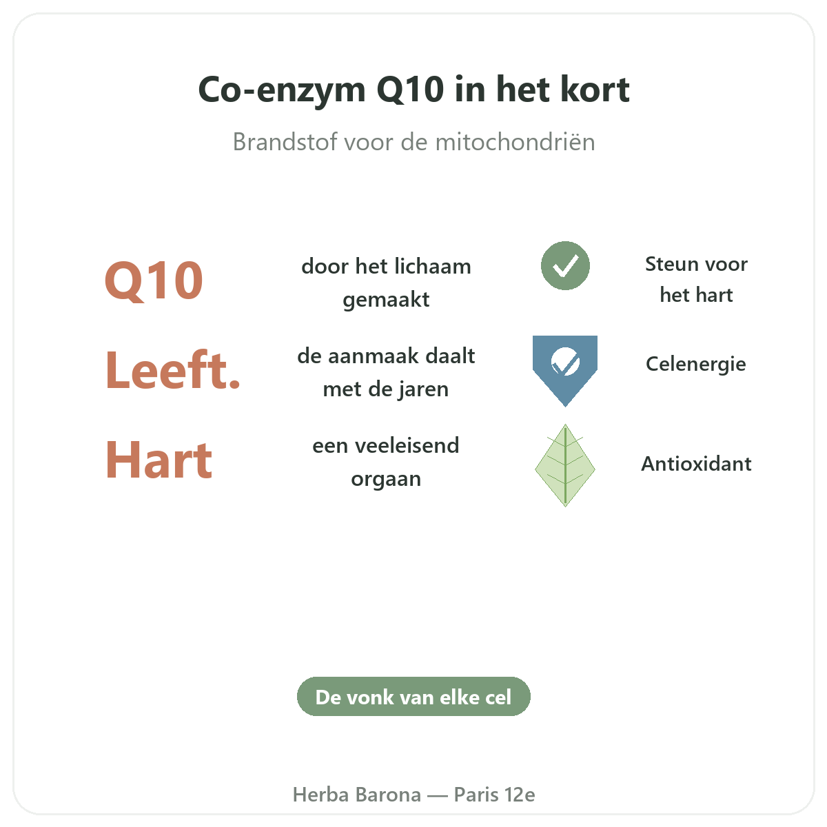 Co-enzym Q10 Parijs in het kort - kerncijfers bij Herba Barona Parijs 12e
