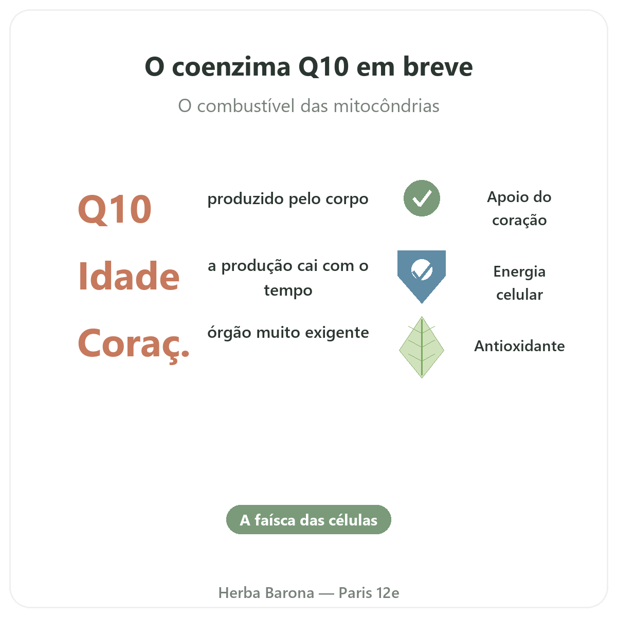 Coenzima Q10 Paris em breve - números-chave na Herba Barona Paris 12e