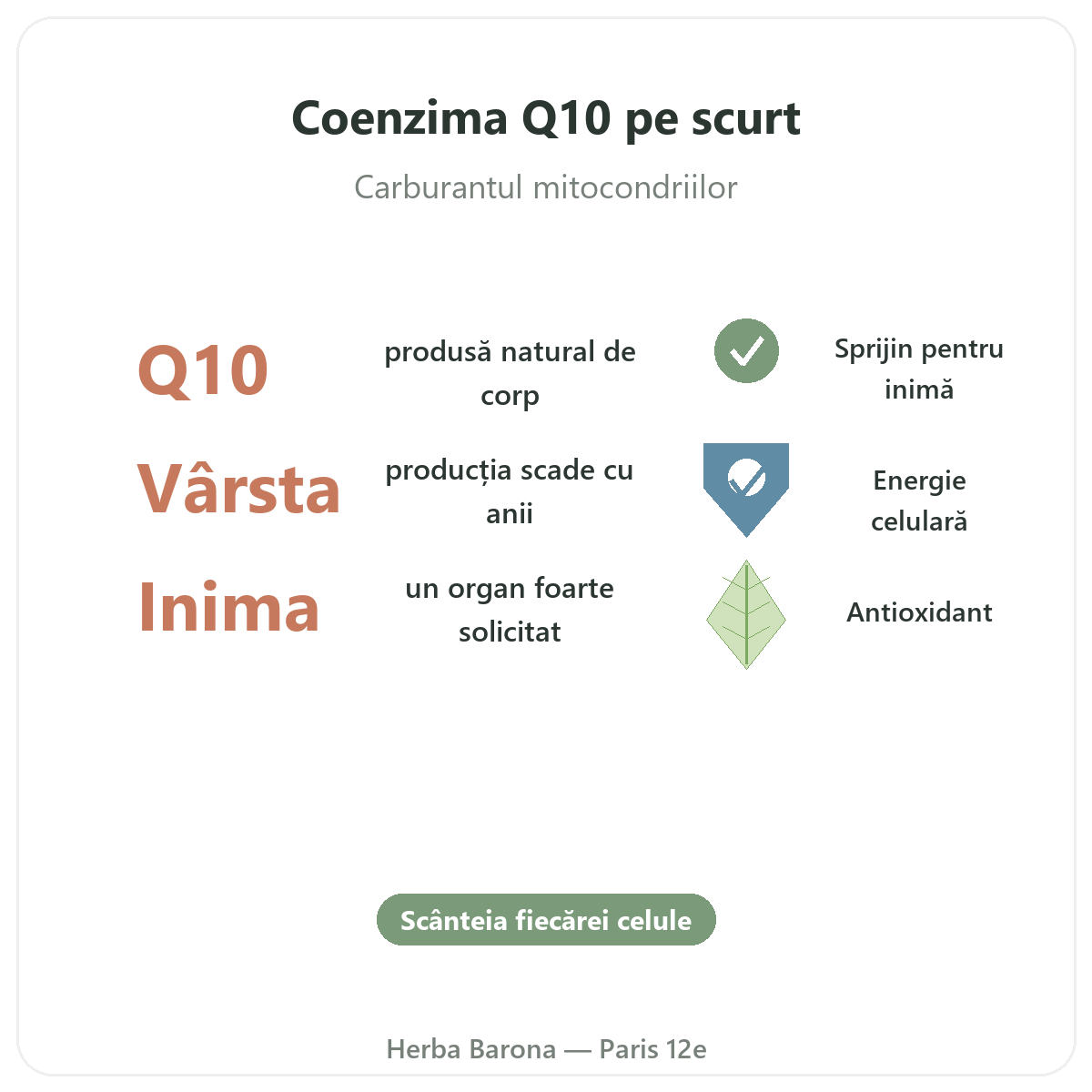 Coenzima Q10 Paris pe scurt - cifre cheie la Herba Barona Paris, arondismentul 12