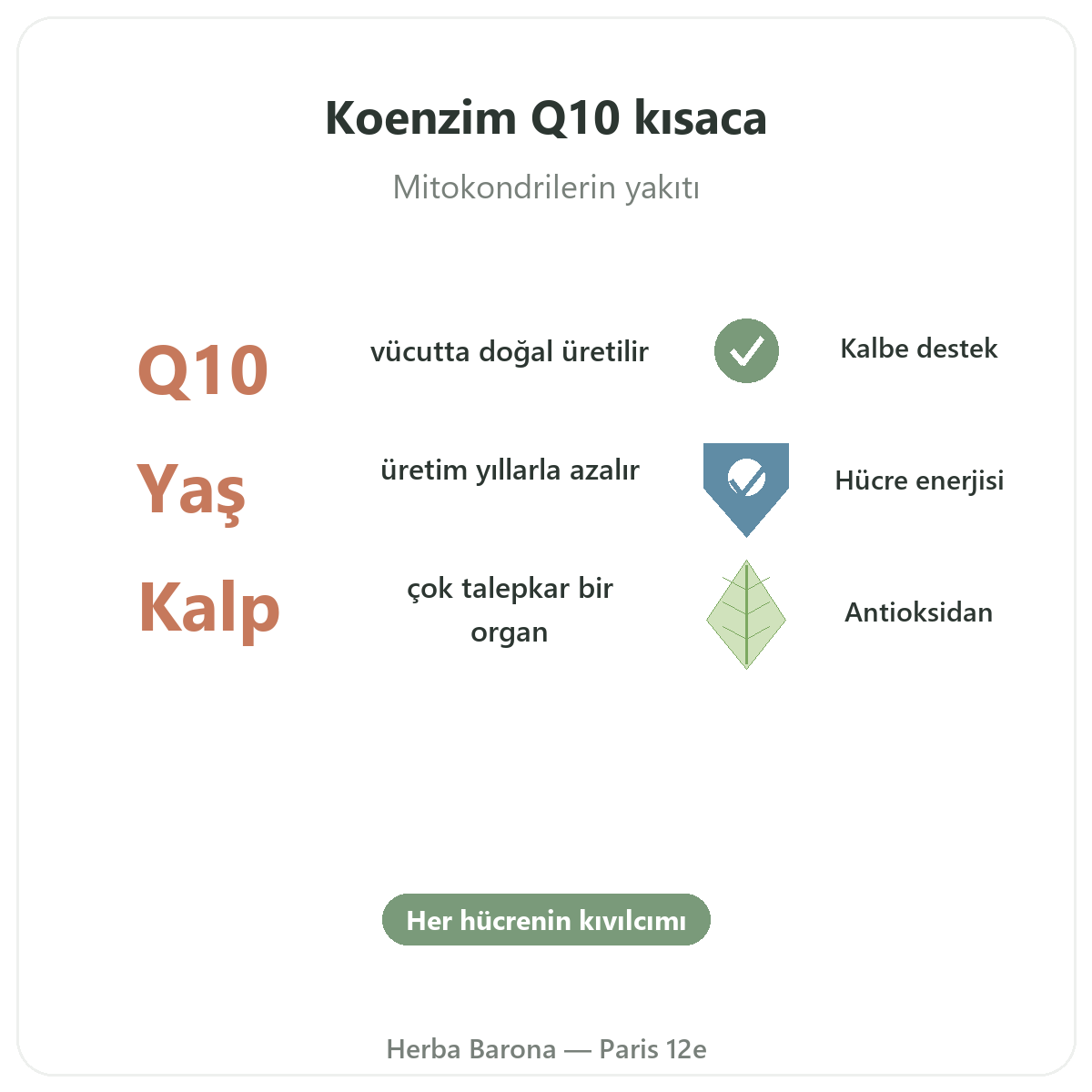 Koenzim Q10 Paris kısaca - Herba Barona Paris 12. bölgede önemli rakamlar