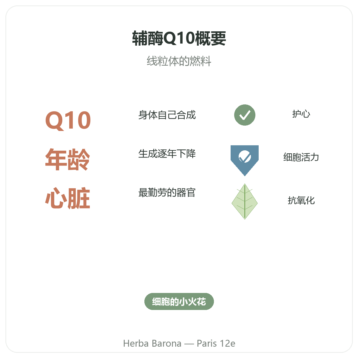 辅酶Q10 巴黎 一览 - Herba Barona巴黎12区关键数据