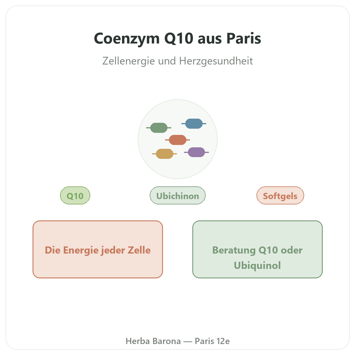 Coenzym Q10 Paris - Vorstellung der Marke bei Herba Barona Paris 12e