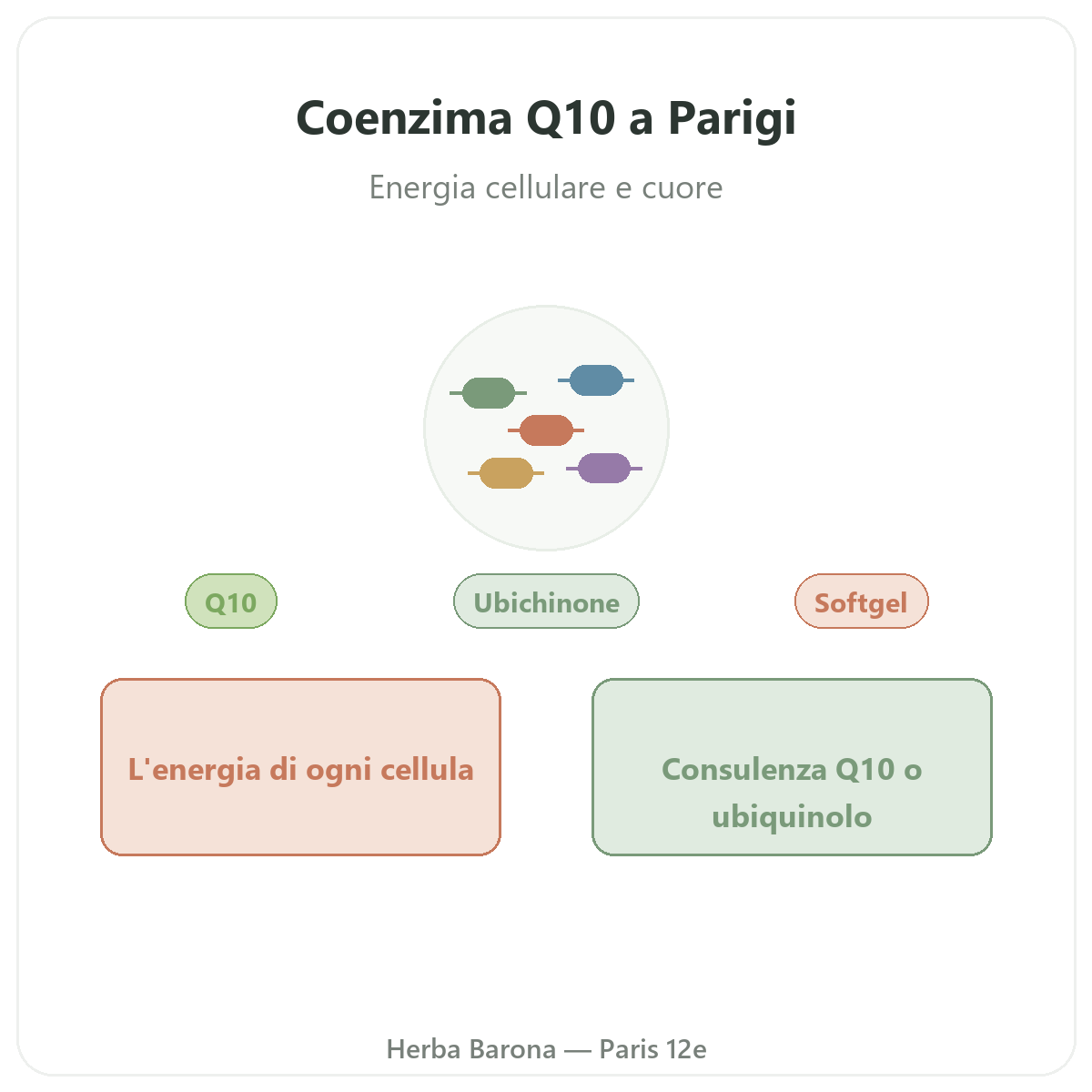 Coenzima Q10 Parigi - presentazione del marchio da Herba Barona Parigi 12e
