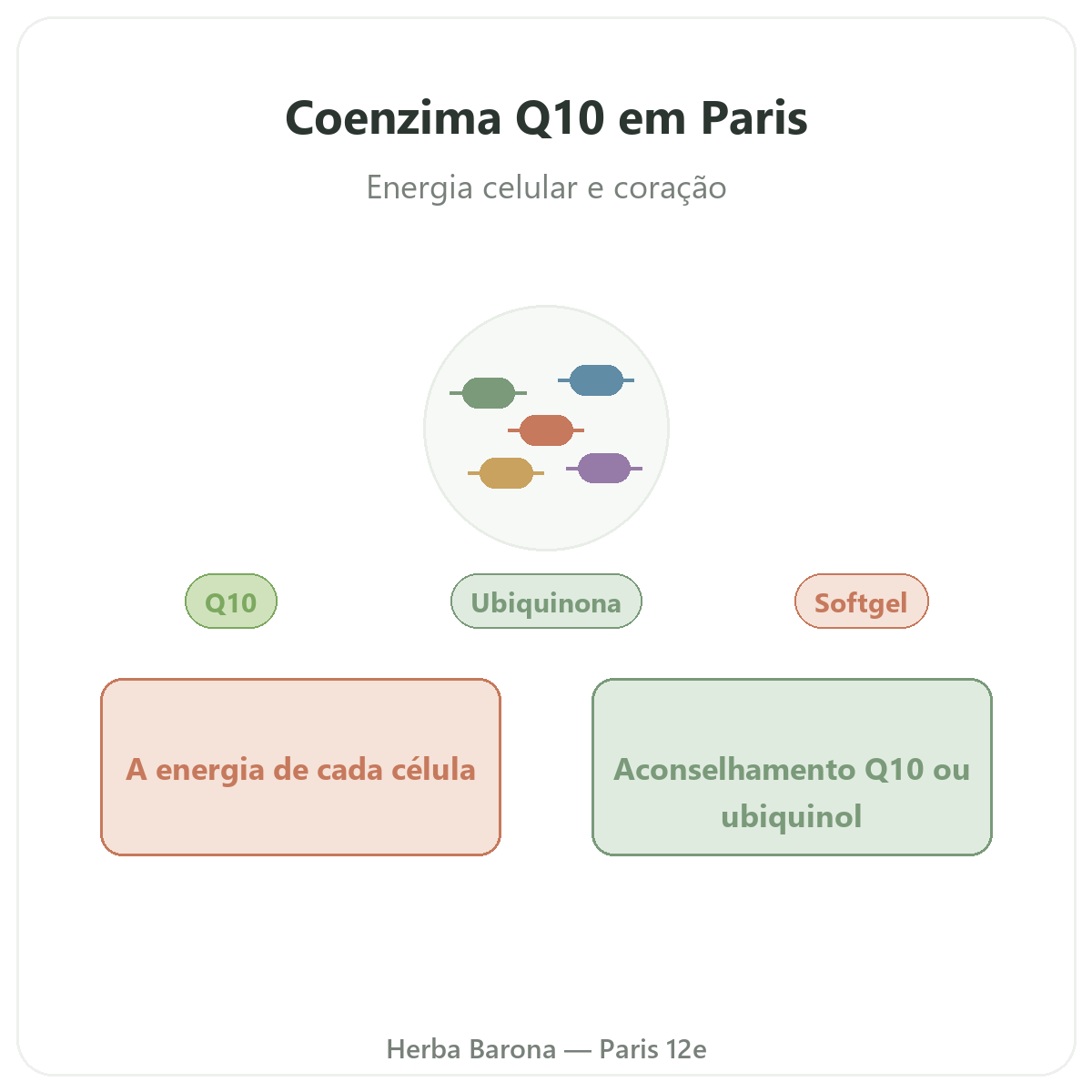 Coenzima Q10 Paris - apresentação da marca na Herba Barona Paris 12e