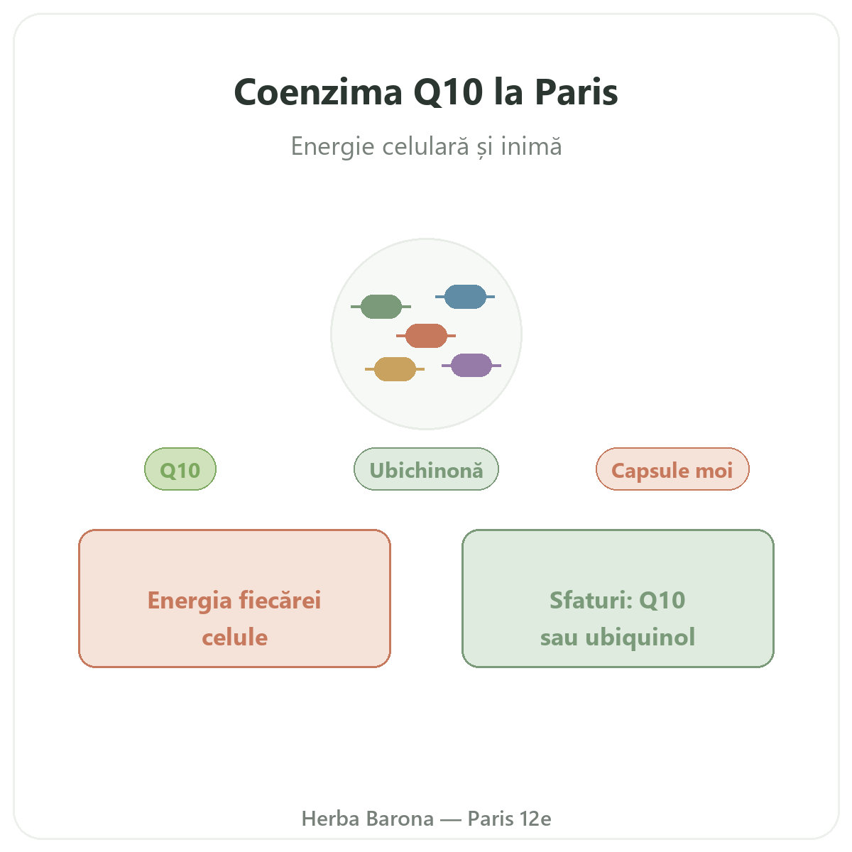 Coenzima Q10 Paris - prezentarea mărcii la Herba Barona Paris, arondismentul 12