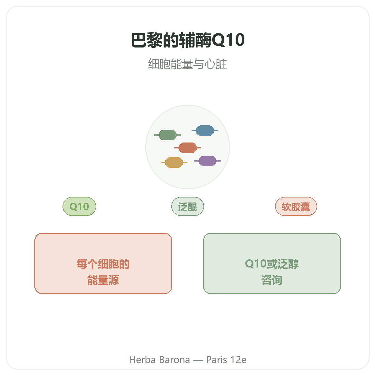 辅酶Q10 巴黎 - Herba Barona巴黎12区品牌介绍