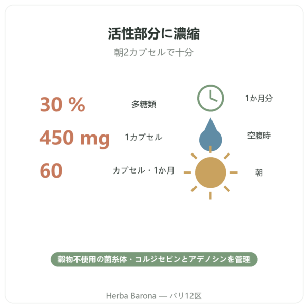 Cordyceps SIHO 60 bienfaits Paris Herba Barona