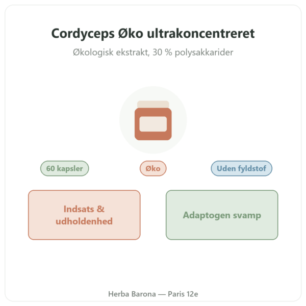 Cordyceps Oko SIHO 60 presentation Paris Herba Barona