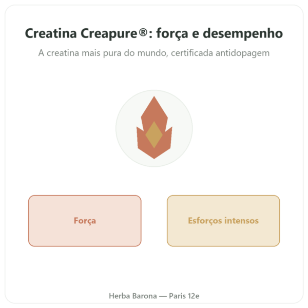 Creatina Creapure® em Pó 180g Novoma apresentação Paris Herba Barona