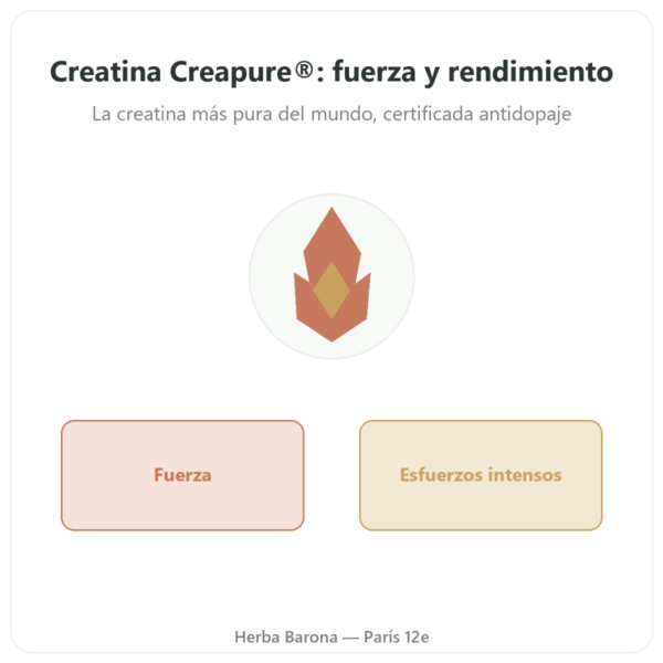 Creatina Creapure en Polvo 180 g – Novoma presentación Paris Herba Barona