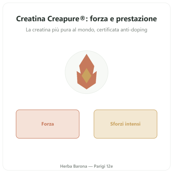 Creatina Creapure in Polvere 180 g – Novoma presentazione Paris Herba Barona