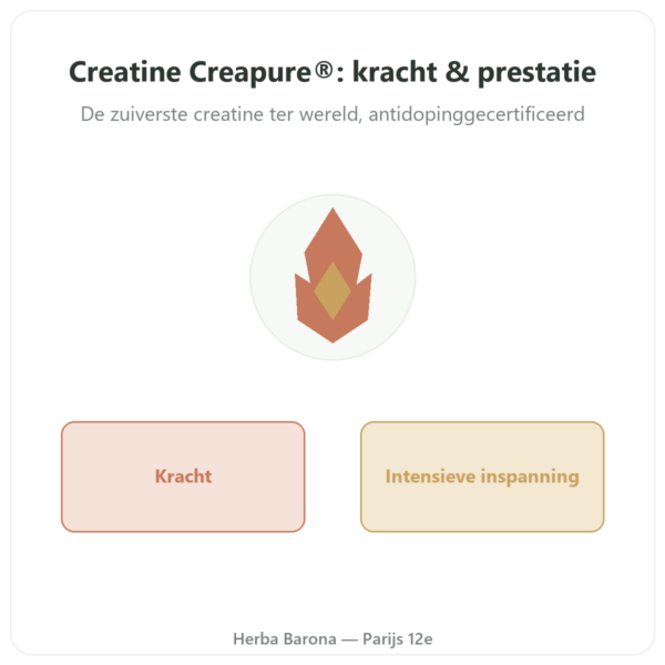Creatine Creapure Poeder 180 g – Novoma presentatie Paris Herba Barona
