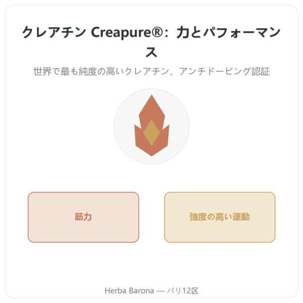 クレアチン Creapure パウダー 180 g – Novoma presentation Paris Herba Barona