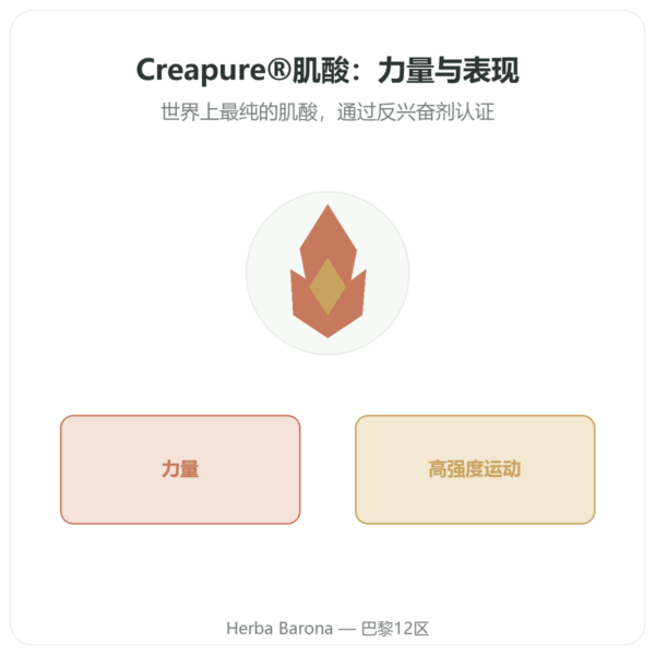 Creapure 肌酸粉末 180克 – Novoma 产品展示 Paris Herba Barona