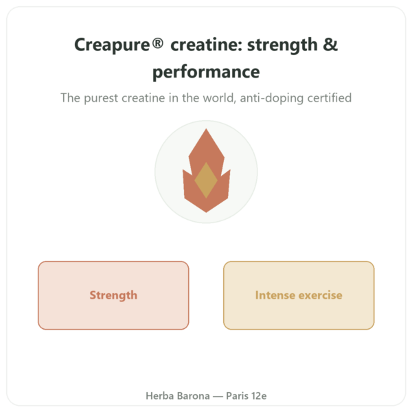 Creatine Creapure Powder 180 g – Novoma presentation Paris Herba Barona